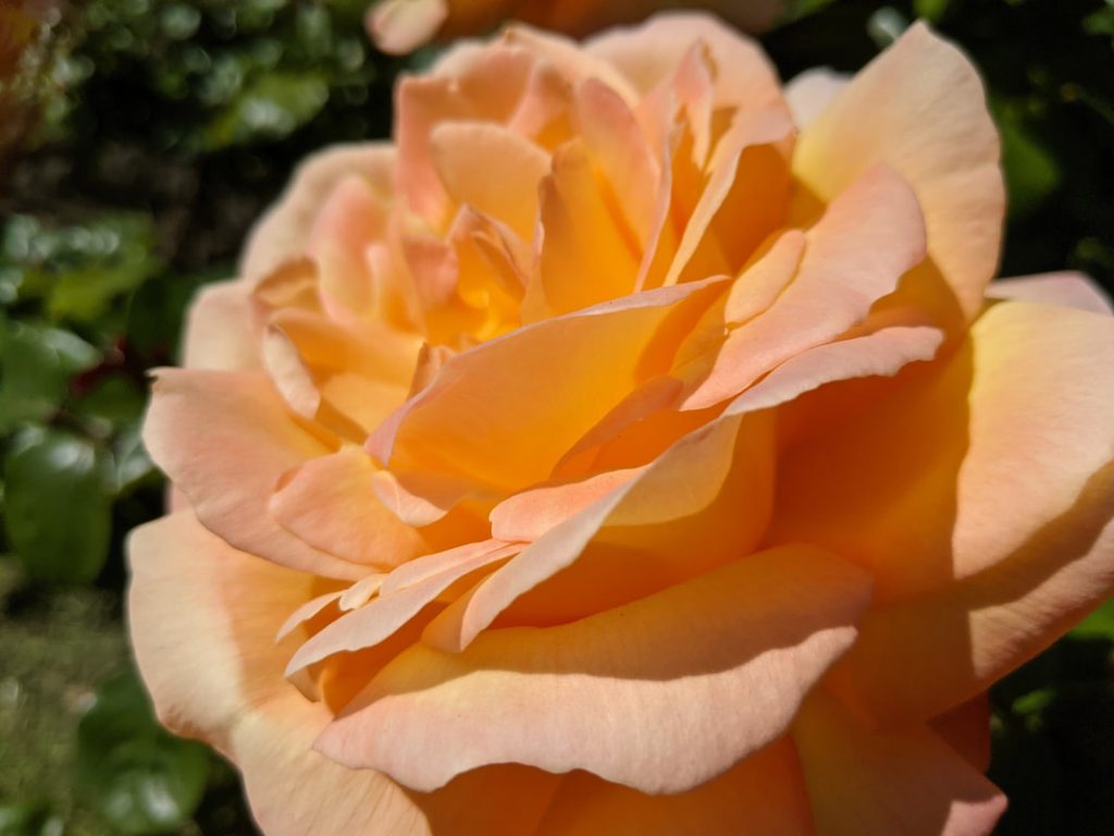 Spring is here Spring is here