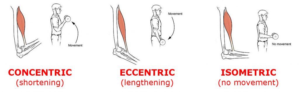 Eccentric training: benefits and risk Eccentric training: benefits and risk