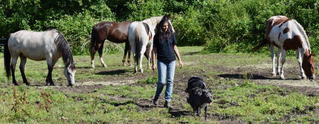 Jini's personal supplement regime and why!