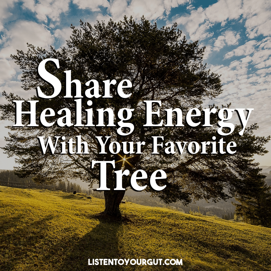 Share healing energy with your favorite tree Share healing energy with your favorite tree